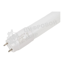 Лампа светодиодная ECOLA CL8D10ELB T8 G13/10W/6500K