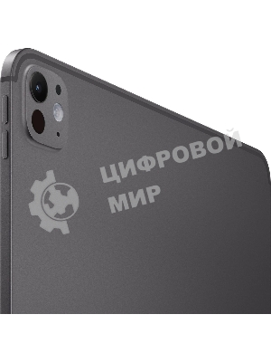 Планшет Apple iPad Pro 2025 A3360 13