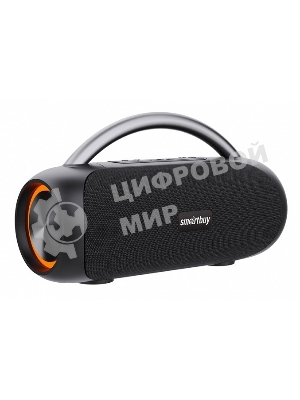 Колонка беспроводная Smartbuy MASTER, черный