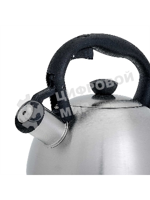 Чайник для плиты со свистком WEBBER BE-0578 2 л