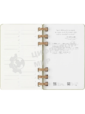 Еженедельник Moleskine ACADEMIC SPIRAL DHSPK5212AMWH3 Large 150х210 мм 200 стр. кремовые страницы спираль киви