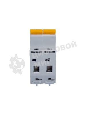 Выключатель автоматический модульный 2п C 63А 4.5кА ВА47-29 IEK MVA20-2-063-C
