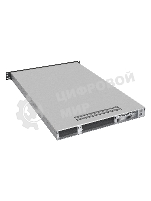 Серверный корпус ExeGate Pro EX288495RUS 1U650-04 (RM 19