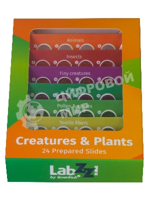 Набор микропрепаратов Levenhuk LABZZ CP24, существа и растения (72870)