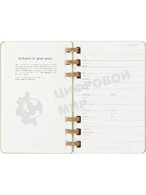 Еженедельник Moleskine ACADEMIC SPIRAL DHSPK5212AMWH3 Large 150х210 мм 200 стр. кремовые страницы спираль киви