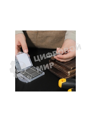 Набор двухсторонних бит 10 шт Deli DL6902 PH2x65мм, сталь S2 с твердостью 58-60HRC, пласт.кейс