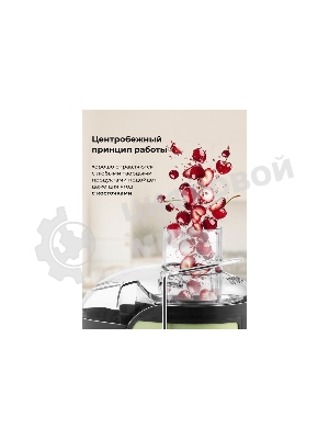 Соковыжималка GALAXY LINE GL 0815 зеленый, центробежная, 850 Вт, 550 мл, механическое