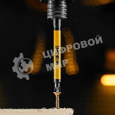 Набор бит Denzel PZ2х90, сталь S2, круглый профиль, 10 шт.