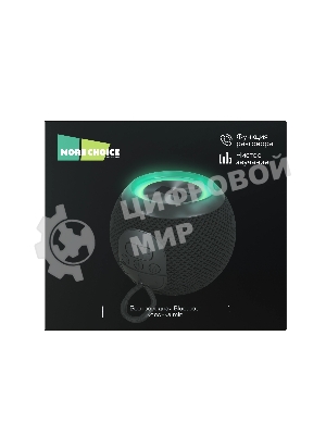 Беспроводная колонка MORE CHOICE BS55 черный