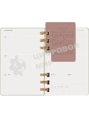 Еженедельник Moleskine ACADEMIC SPIRAL DHSPK5212AMWH3 Large 150х210 мм 200 стр. кремовые страницы спираль киви