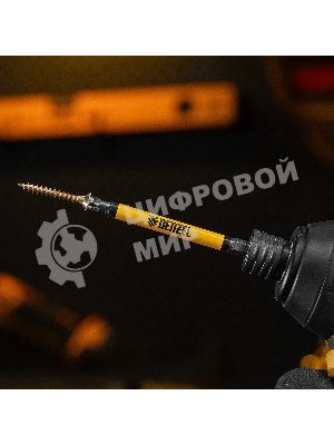 Набор бит Denzel PZ2х90, сталь S2, круглый профиль, 10 шт.