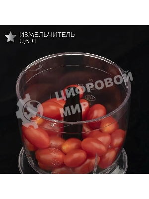 Кухонный блендер Scarlett SC-HB42F73 (Silver Line)