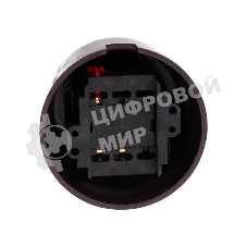 Выключатель поворотный Bironi B1-202-22 2-кл. ОП Лизетта 10А IP20 ретро 4 полож. ABS-пластик коричневый