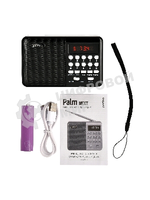 Радиоприемник PERFEO (PF_D0566) PALM, черный