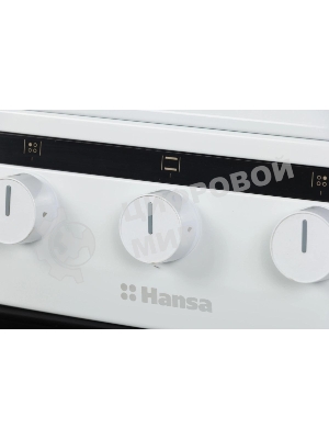 Плита газовая Hansa FCGW61000 белый, конфорок 4 шт, духовка 58 л, 60 см x 85 см x 60 см