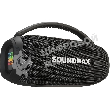 Колонка беспроводная Soundmax SM-PS5031B(черный)