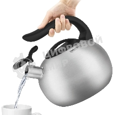 Чайник для плиты металлический Rondell Coupage RDS-1832 2.8 л. стальной