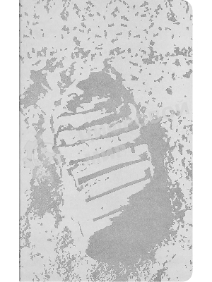 Блокнот Moleskine CAHIER NASA-INSPIRED SKCAHLP7063S2 Large 130х210 мм 120 стр. нелинованный мягкая обложка серебристый/черный Moon (2 шт)