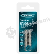 Набор бит двухстор. Gross PH2-PH2х45мм, PZ2-PZ1х45мм, сталь S2, 2 шт.