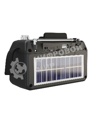 Радиоприемник SOUNDMAX SM-RD2114UB черный