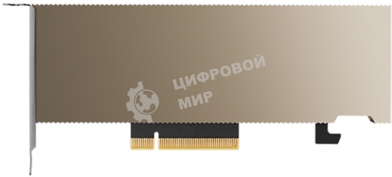 Видеокарта Nvidia Tesla A2, 1 year