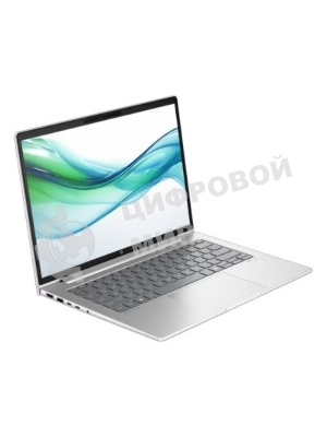 Ноутбук HP ProBook 440 G11 (A22Z2EA) 14