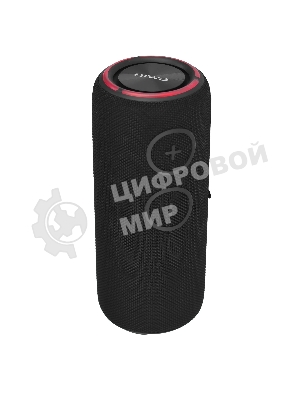 Колонка беспроводная AIWA PAS-H300 черный