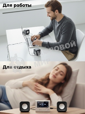 Портативная колонка Ritmix SP-3010 черный