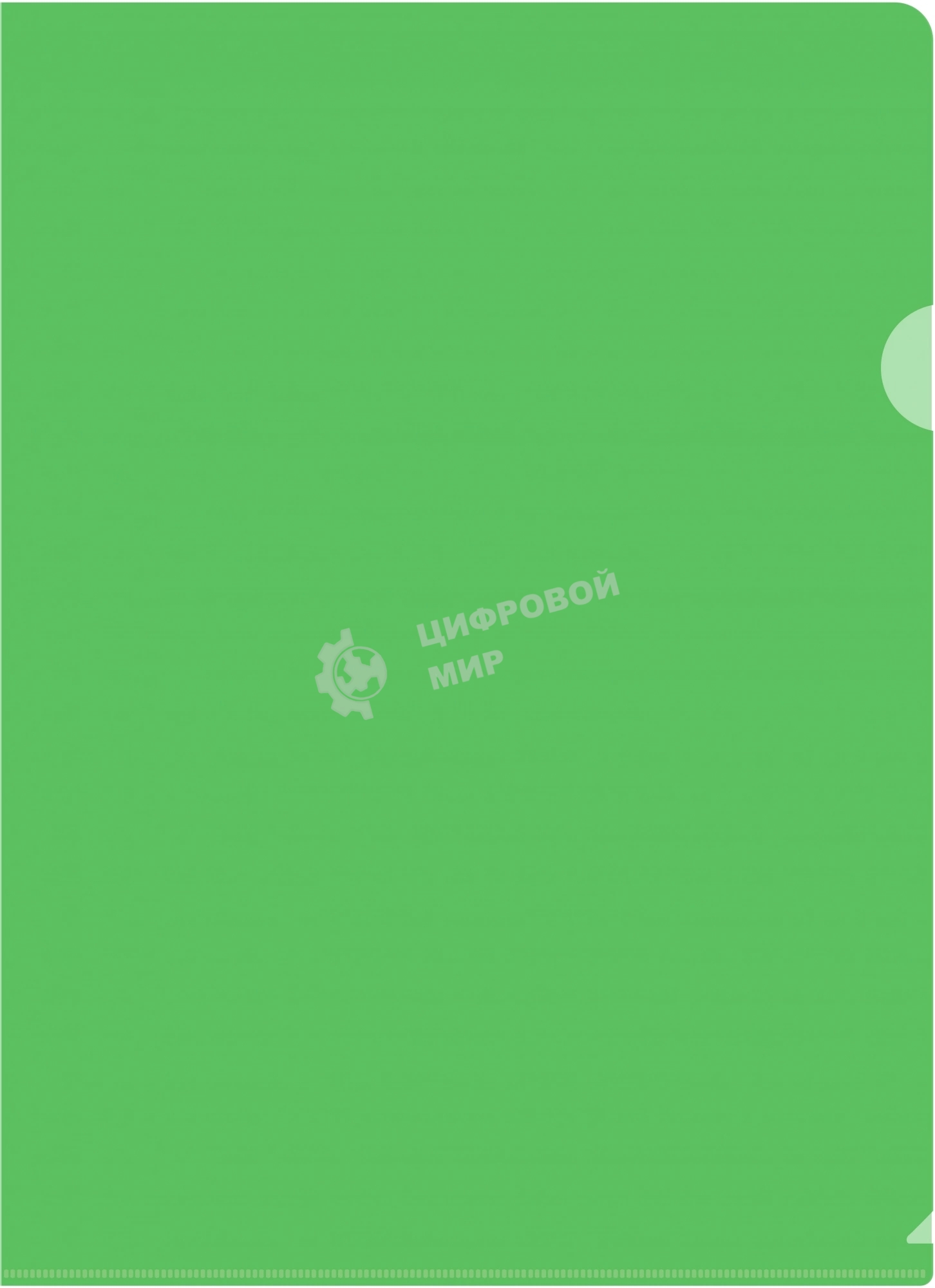 Папка-уголок Silwerhof Eco тисненый A4 пластик 0.12мм зеленый