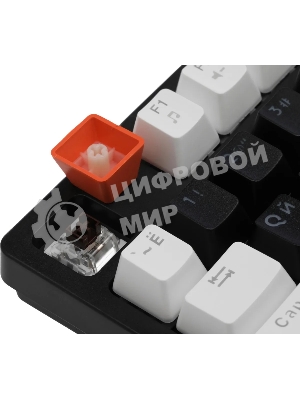 Клавиатура проводная Defender Hawk GK-418, USB, черный/белый