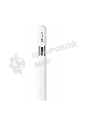 Перо-карандаш Apple Pencil (USB-C)