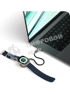 Кабель зарядный Satechi USB-C Magnetic Fast-Charging Cable для Apple Watch, серый космос