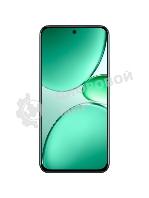 Смартфон Realme C85 Pro RMX5555 8/256Gb, темно-зеленый