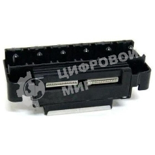 Печатающая головка Epson F154020 для PictureMate 500