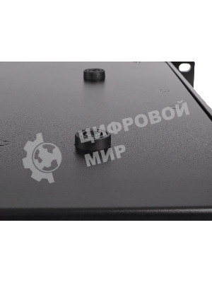 Спикер-процессор Intrend SP48 F