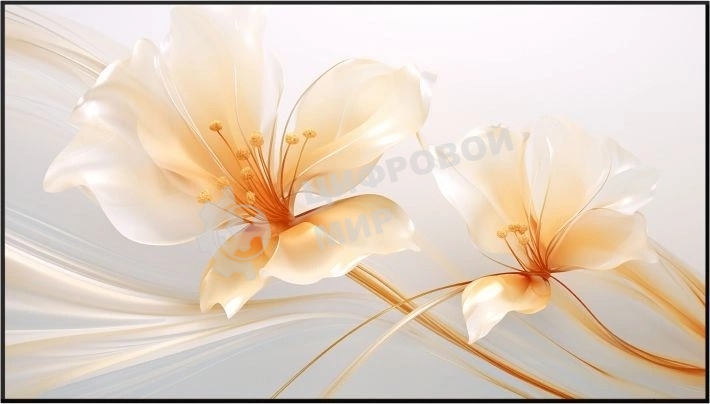 Экран на раме Xgimi 127.6x224.5 см 100