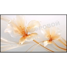 Экран на раме Xgimi 127.6x224.5 см 100