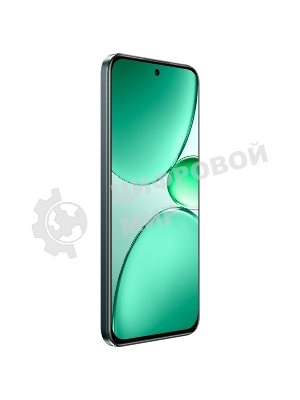 Смартфон Realme C85 Pro RMX5555 8/256Gb, темно-зеленый