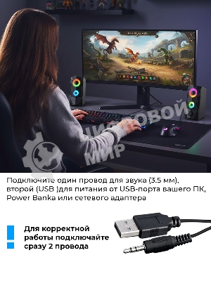 Портативная колонка Ritmix SP-3050