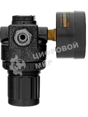 Регулятор давления с манометром Denzel R1500, 12 бар, 1/4