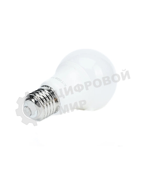 Лампа светодиодная EUROLUX LL-E-A60-9W-230-2