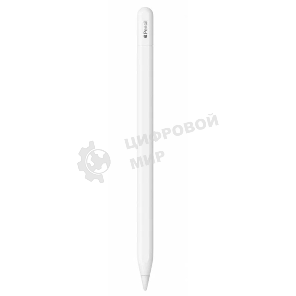 Перо-карандаш Apple Pencil (USB-C)
