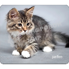 Коврик для мыши PERFEO PF_D0661 