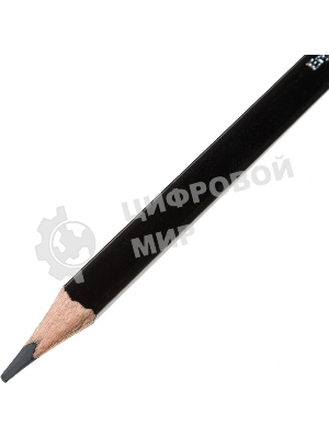 Карандаши цветные Deli EC00200 Color Emotion, трехгранный профиль, липа, 12 цветов, коробка с европодвесом (12шт)