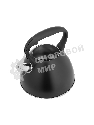 Чайник для плиты Lara LR00-74 3 л, нержавеющая сталь, черный матовый