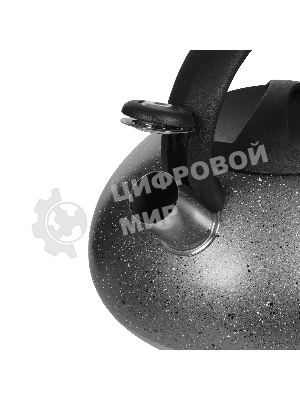 Чайник для плиты ALPENKOK AK-537 3 л