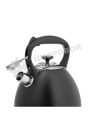 Чайник для плиты Lara LR00-74 3 л, нержавеющая сталь, черный матовый