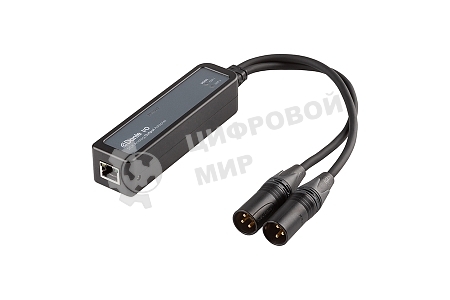 Конвертер INTREND ITDAN-XR2 приемник Dante - аналог, 2 канала, XLR