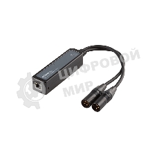 Конвертер INTREND ITDAN-XR2 приемник Dante - аналог, 2 канала, XLR