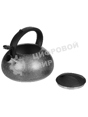 Чайник для плиты ALPENKOK AK-537 3 л